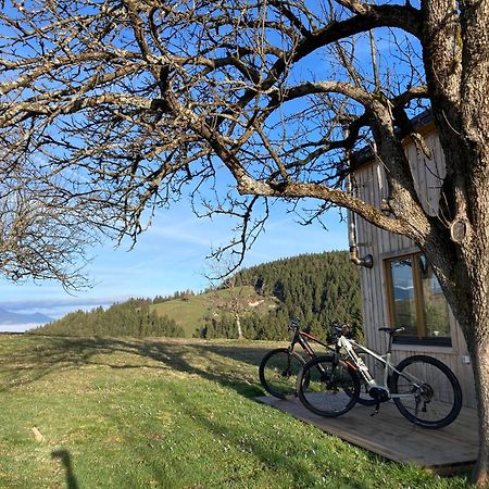 Tiny House Villa Mislinja Exteriör bild