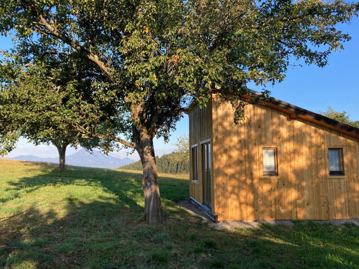 Tiny House Villa Mislinja Exteriör bild