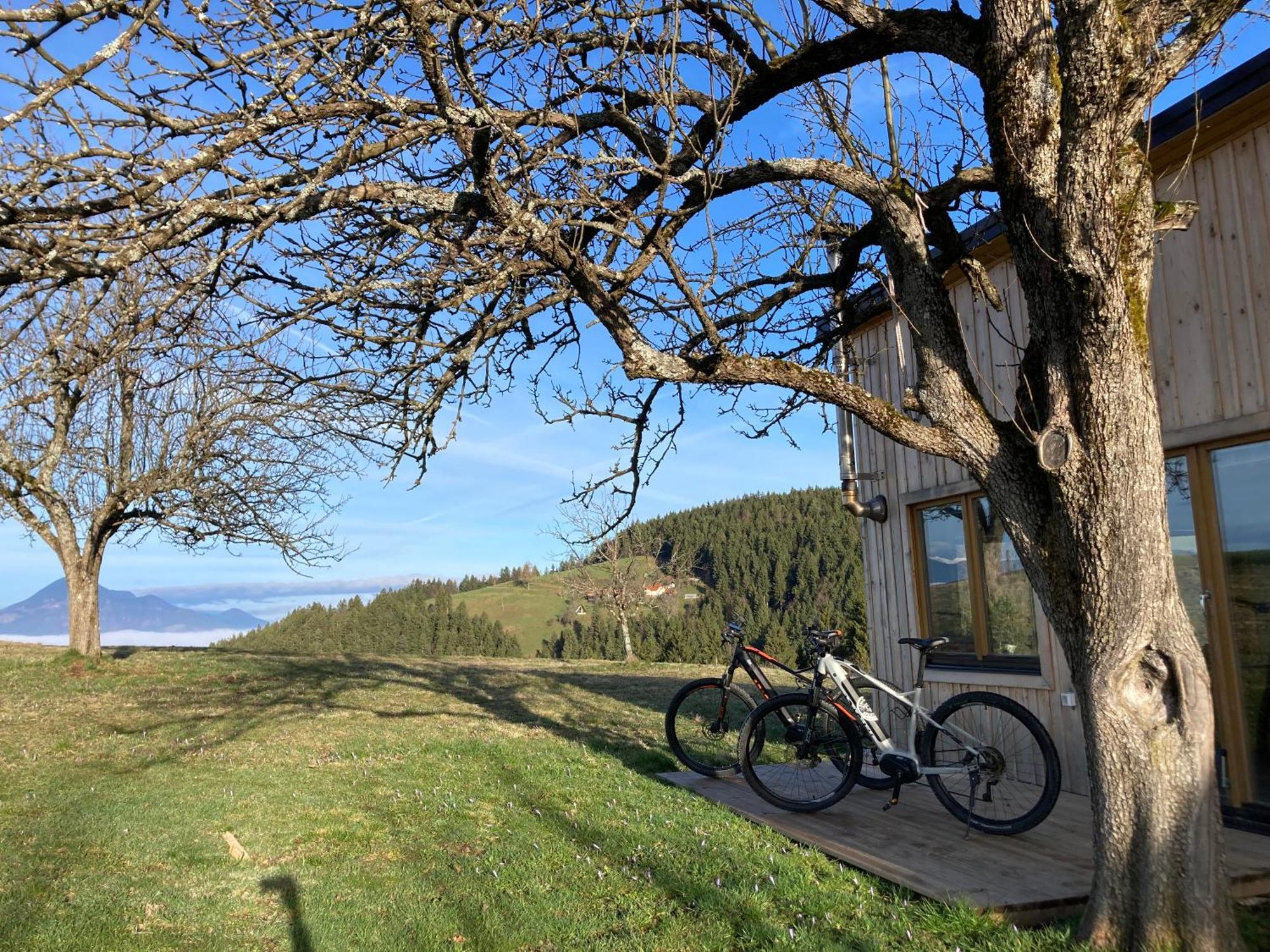 Tiny House Villa Mislinja Exteriör bild